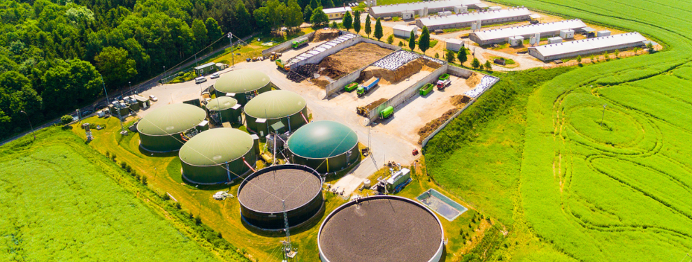 Biogas Plan - Article 2