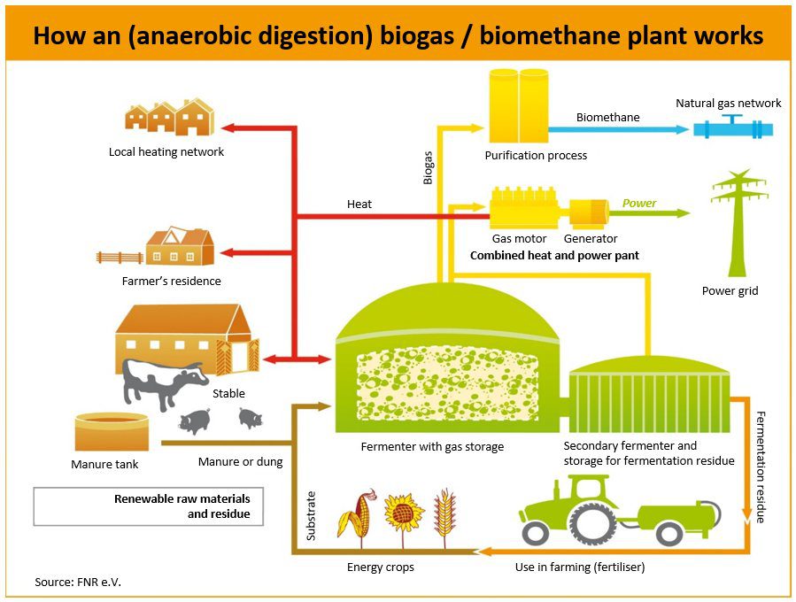 Biogas Plant Operation