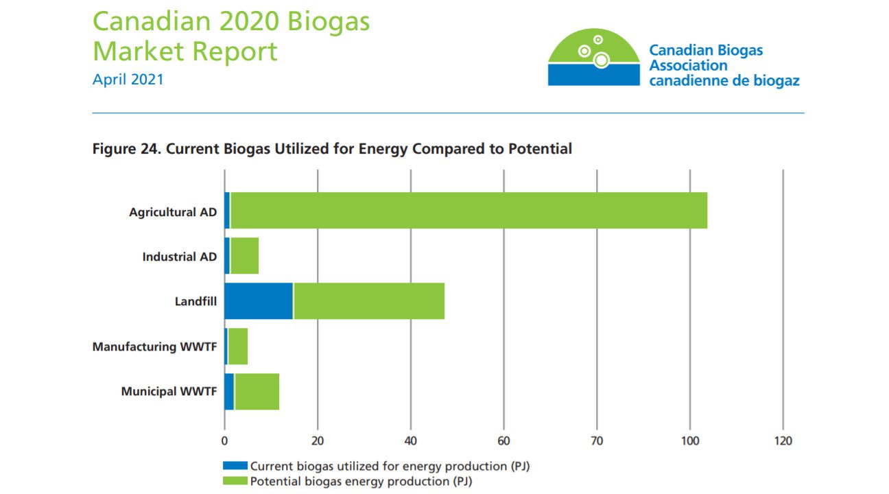 Biogas Report 2020