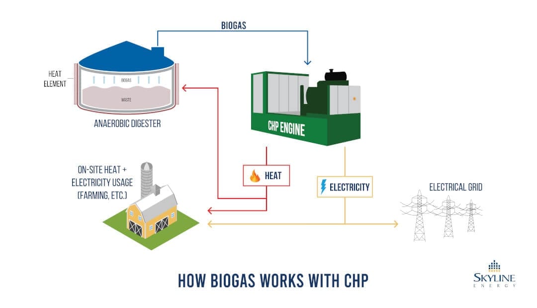 Visualizing Skyline Energy's Biogas CHP System Diagram